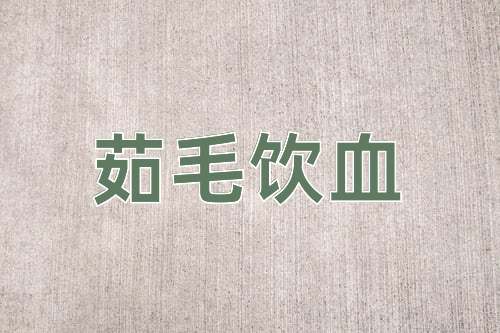 成语茹毛饮血