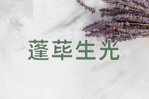 成语蓬荜生光
