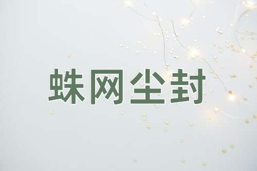 成语蛛网尘封