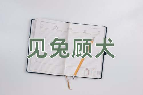 成语见兔顾犬