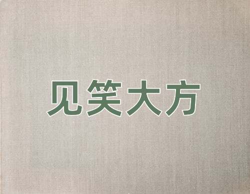 成语见笑大方
