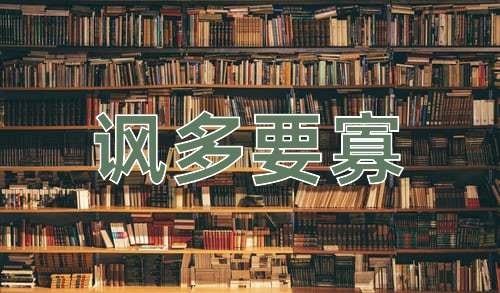 成语讽多要寡