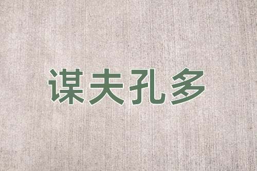 成语谋夫孔多