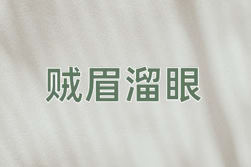 成语贼眉溜眼