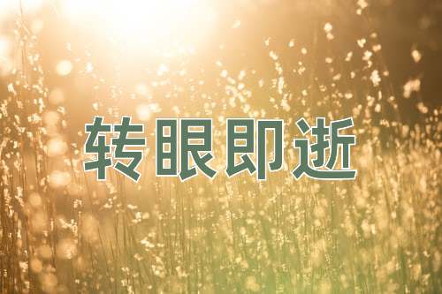 成语转眼即逝