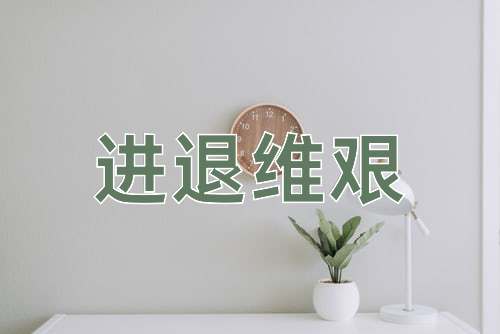成语进退维艰