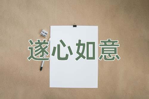 成语遂心如意