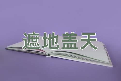 成语遮地盖天