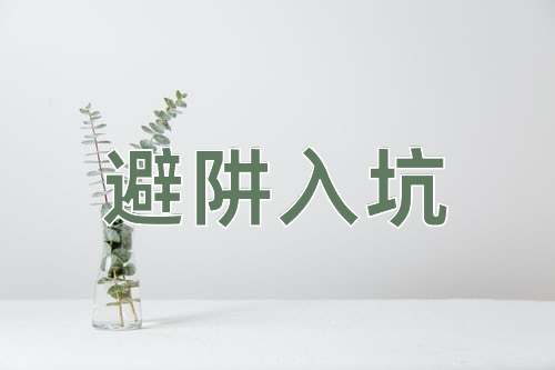 成语避阱入坑