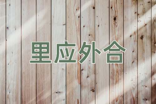 成语里应外合