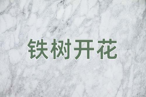 成语铁树开花
