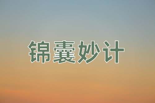 成语锦囊妙计