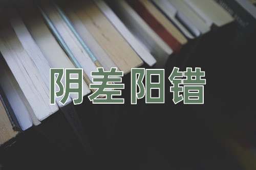 成语阴差阳错