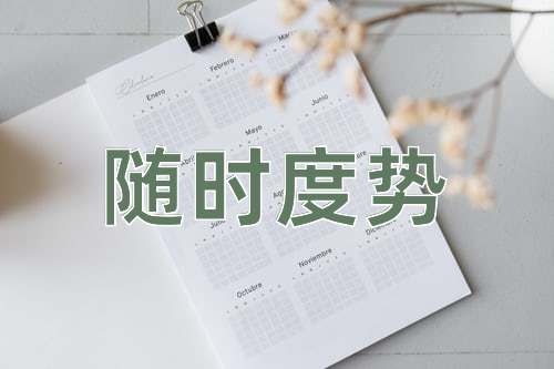 成语随时度势