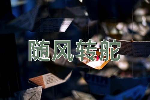 成语随风转舵
