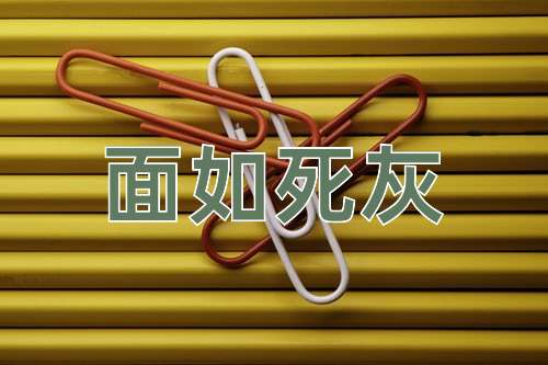 成语面如死灰