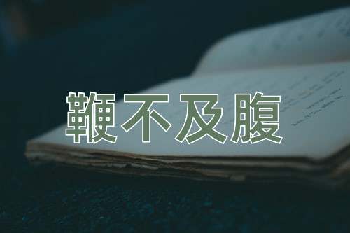 成语鞭不及腹