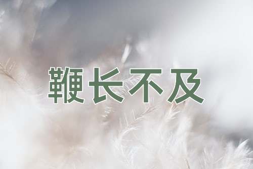 成语鞭长不及