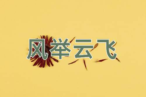 成语风举云飞