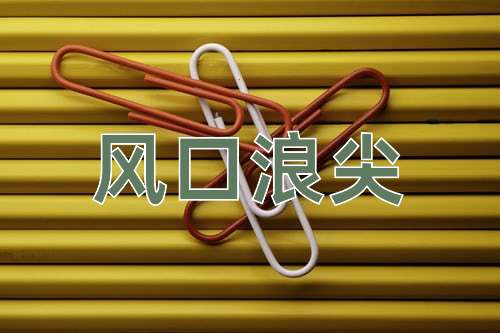 成语风口浪尖