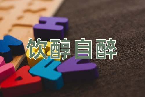 成语饮醇自醉