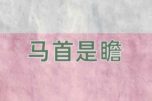 成语马首是瞻