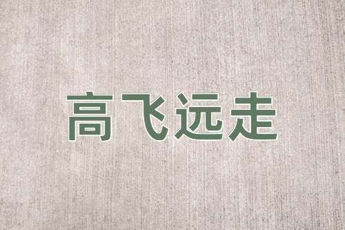 成语高飞远走