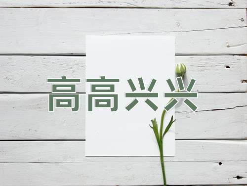 成语高高兴兴