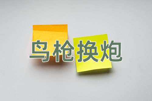 成语鸟枪换炮