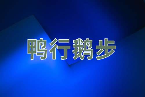 成语鸭行鹅步