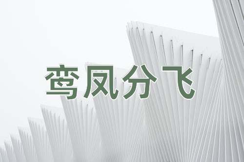 成语鸾凤分飞