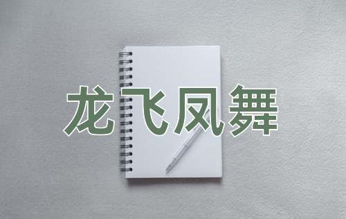 成语龙飞凤舞