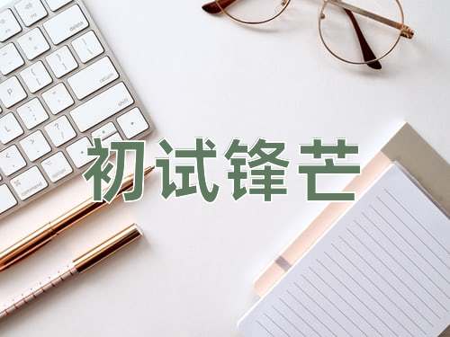 成语初试锋芒