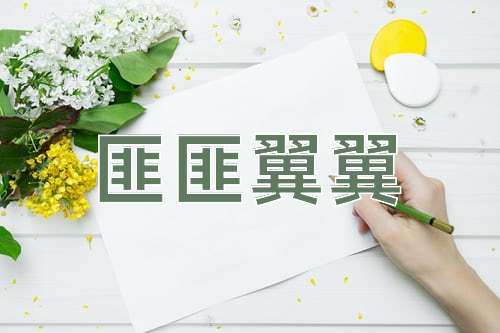 成语匪匪翼翼