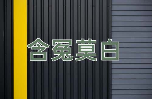 成语含冤莫白