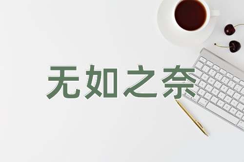 成语无如之奈