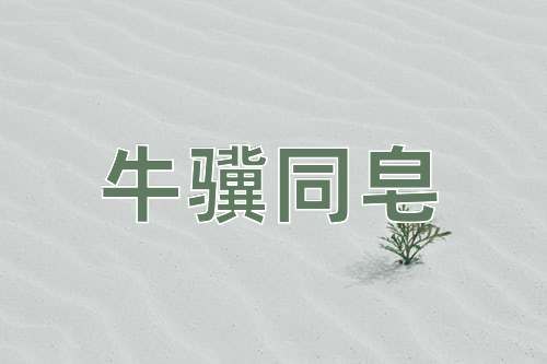 成语牛骥同皂