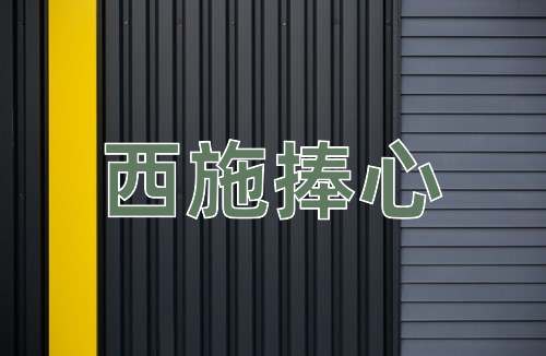 成语西施捧心