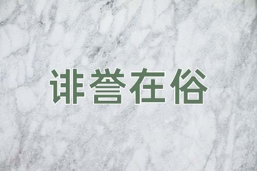 成语诽誉在俗
