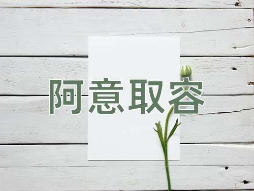 成语阿意取容